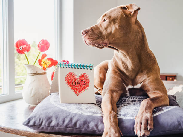istock Charming puppy and heart drawing. Side view 1225531547