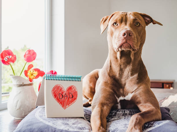 istock Charming puppy and heart drawing. Side view 1225531610