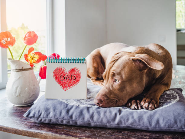 istock Charming puppy and heart drawing. Side view 1225531692