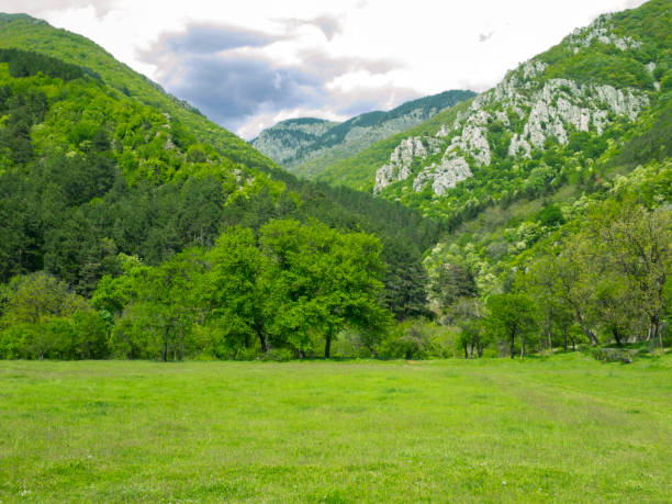 istock spring green meadow in the mountains in Bulgaria 1225538945