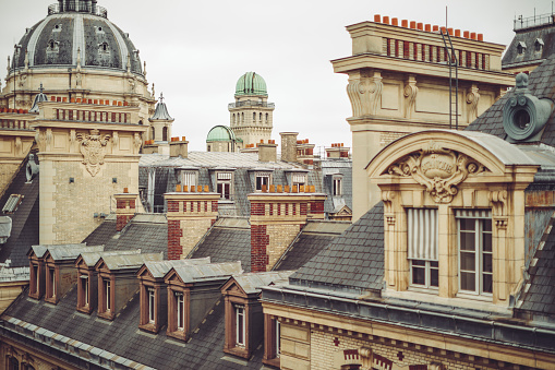 Rooftops in Paris-France