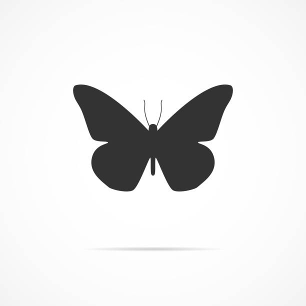 ilustrações, clipart, desenhos animados e ícones de imagem vetorial do ícone da borboleta. - spring abstract insect dreams