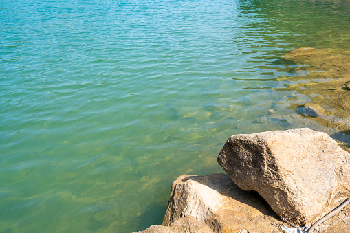 Kam Shan Country Park, The Kowloon Reservoir at hong kong nature