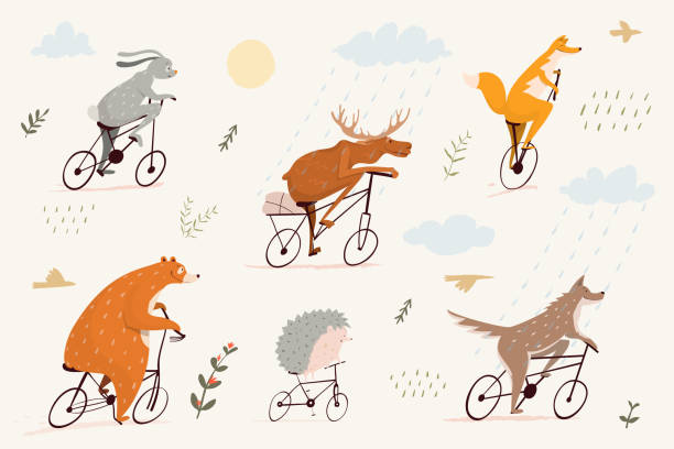 lustige und süße tiere reiten fahrräder, bär, fuchs, hase, igel und elche genießen eine fahrt. clipart-charaktere radfahren für kinder. - rabbit humor animal cartoon stock-grafiken, -clipart, -cartoons und -symbole