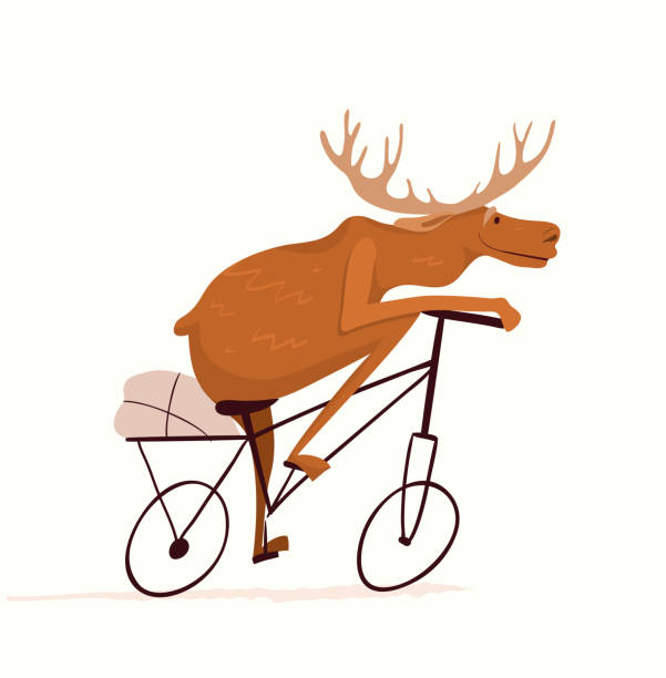 Ilustración de Moose Montar En Bicicleta Divertido Diseño De Carreras De  Animales De Dibujos Animados y más Vectores Libres de Derechos de Alce -  iStock