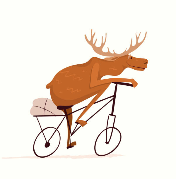 Ilustración de Moose Montar En Bicicleta Divertido Diseño De Carreras De Animales De Dibujos Animados y más Vectores Libres de Derechos de Alce - iStock Ilustración de Moose Montar En Bicicleta Divertido Diseño De Carreras De Animales De Dibujos Animados y más Vectores Libres de Derechos de Alce - iStock