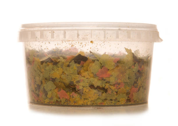 fish food flakes in a container isolated