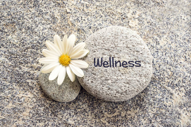 word wellness written on a stone background with a daisy - massage table imagens e fotografias de stock