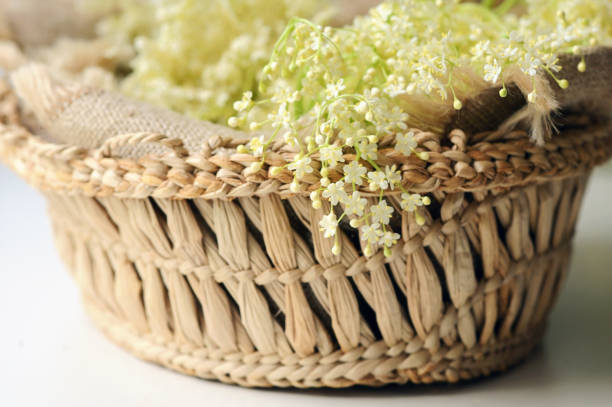 istock Closeup Spring Elderflowers In Basket On Table 1225547904