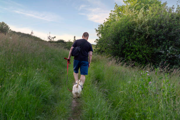istock Mature man walks with a dog along a path in a meadow 1225549693