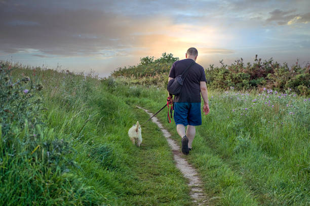 istock Mature man walks with a dog along a path in a meadow 1225549770