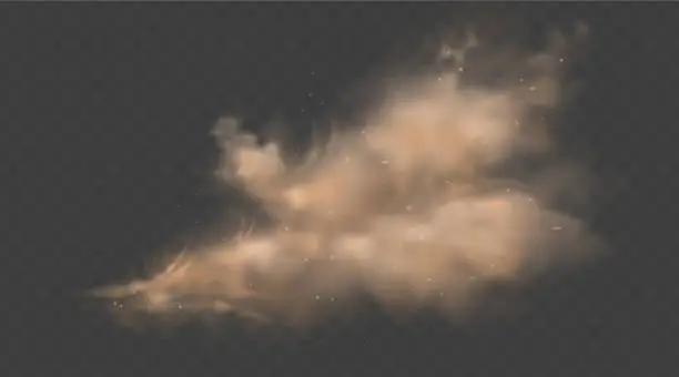 Vector illustration of Dust sand cloud with stones and flying dusty particles isolated on transparent background. Desert sandstorm. Realistic vector illustration