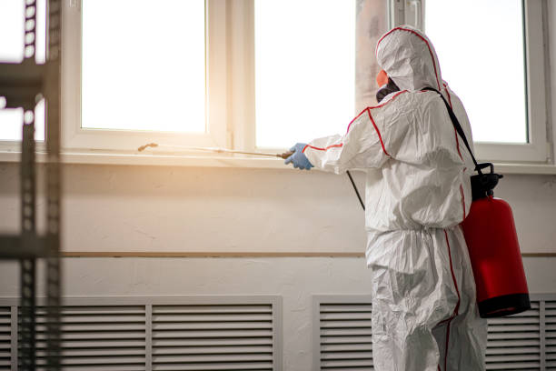 istock professional disinfector removing infections 1225550284