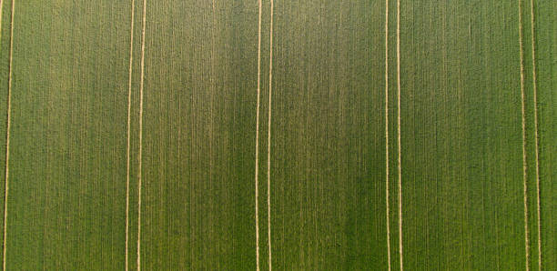 istock Top-Down view over agricultural farmlands 1225550530