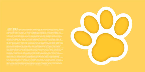 ilustraciones, imágenes clip art, dibujos animados e iconos de stock de icono de impresión de pata. ilustración vectorial - dog paw print paw pets