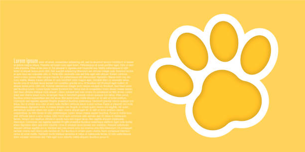 ikona paw print. ilustracja wektorowa - activity animal sitting bear stock illustrations