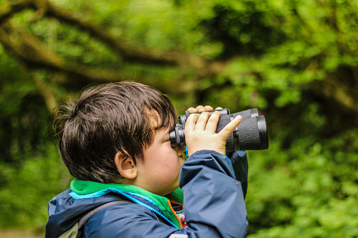 A young boy child looking to the left through binoculars watching looking at the wildlife birds nature in a green forest the background is blurred green for copy space the boy is wearing a green fleece and a dark blue rain jacket the binoculars are black