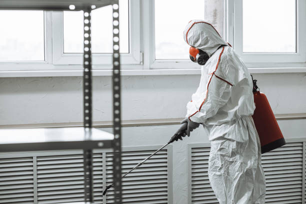 istock virologist in protective hazmat suit conduct disinfection 1225551261
