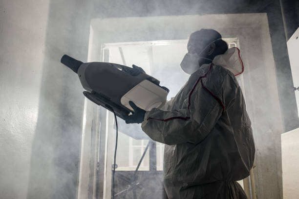 istock professional disinfector removing infections 1225551294