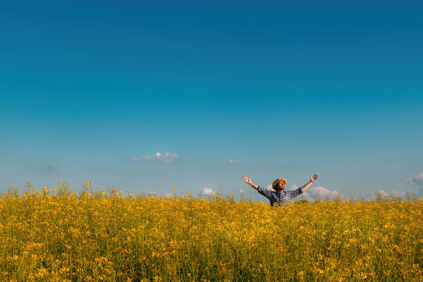 istock Proud successful rapeseed farmer in blooming field with raised hands 1225552377