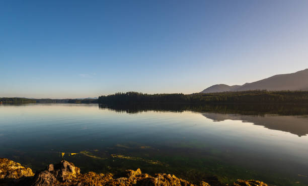 istock Ucluelet, Vancouver Island, BC, Canada 1225553519