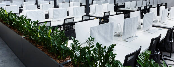 istock Modern co-working rental office with computers, green plants 1225553759