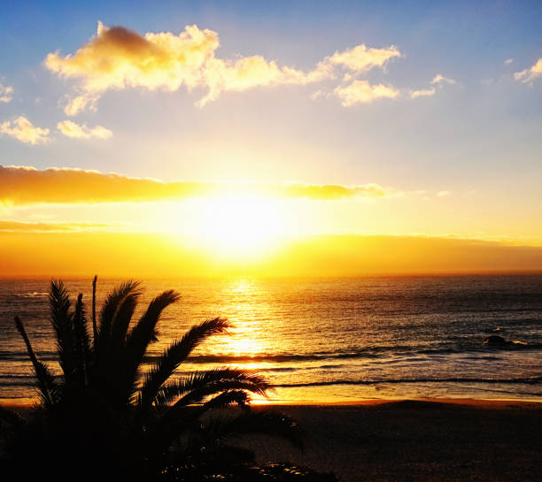 istock Beautiful sunset over the sea with silhouetted palm tree 1225557458