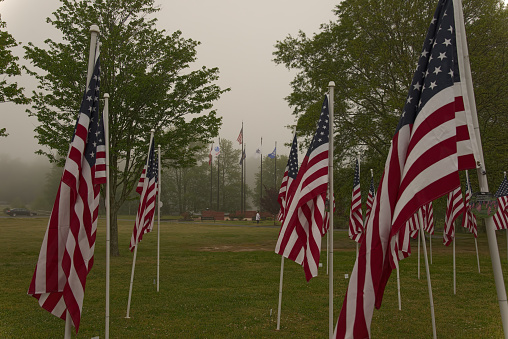 A mature woman walks her dog past a veteran’s memorial  of American flags on a dreary morning with the US flags and the flags of the branches of the US military shrouded in the misty background