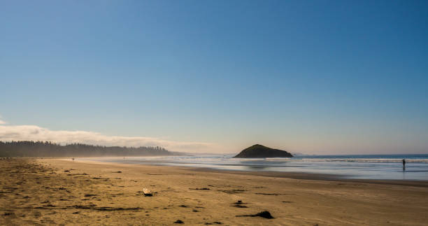 istock long beach, vancouver island, BC, Canada 1225558111