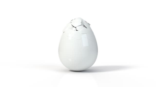 2,107 Egg Illustration Stock Videos and Royalty-Free Footage - iStock |  Easter egg illustration, Fried egg illustration, Hard boiled egg  illustration