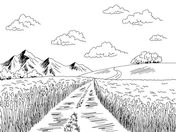 Vector illustration of Field road graphic black white landscape sketch illustration vector