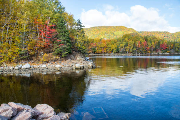 istock Landscape scenery in northern Nova Scotia 1225565077