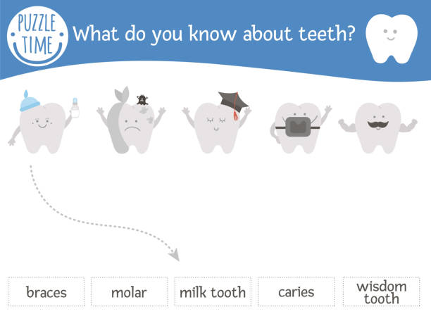 귀여운 치아와 그들의 이름과 치과 치료 매칭 활동. 유치원 치아 관리 퍼즐. 귀여운 입 위생 교육 수수께끼입니다. 올바른 단어 인쇄 가능한 워크 시트를 찾습니다. 아이들을위한 간단한 치과 의 - sweet tooth in a row stock illustrations