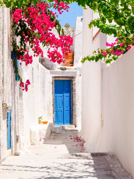 istock Old beautiful Santorini street. Cyclades, Greece. 1225565968