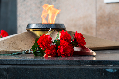 Eternal flame in memory of those killed in the war, carnation