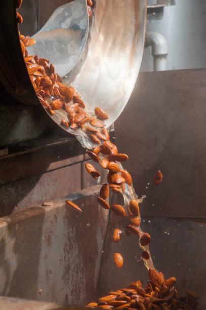 istock The working of almonds 1225566413
