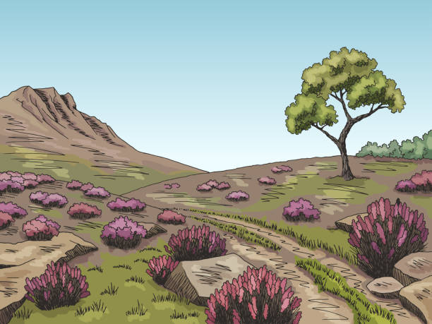 illustrations, cliparts, dessins animés et icônes de vecteur graphique d’illustration de croquis de paysage de couleur de heathland - landes écossaises