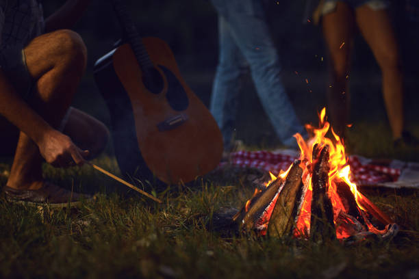 istock Bonfire at night on a friends picnic in autumn 1225566730