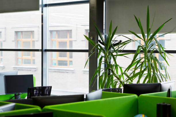 istock Green office with green decorative plants on windowsill 1225568243