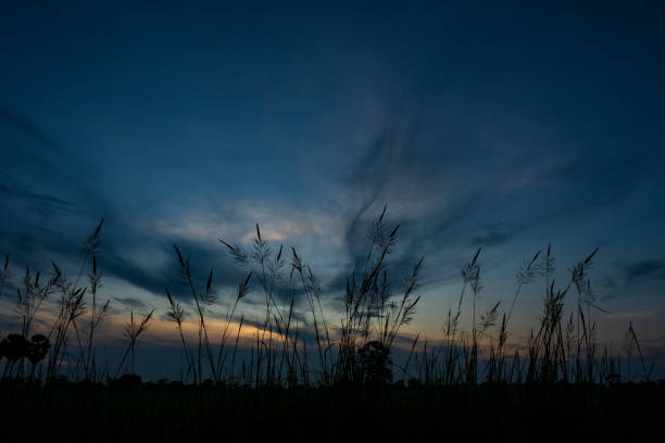 istock Beautiful sunset landscape Blue light In the spring. 1225569808