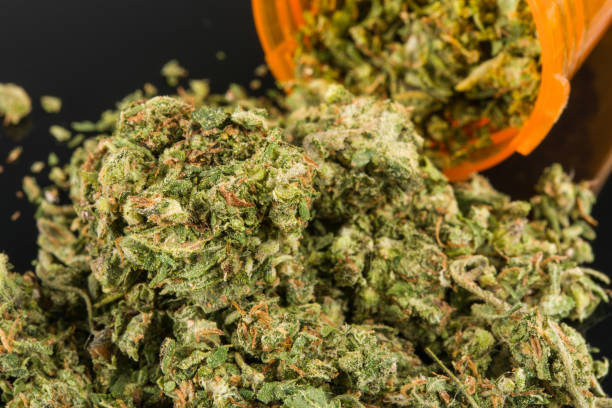istock medical marijuana in yellow pill bottle on black background with mirror reflection 1225569848