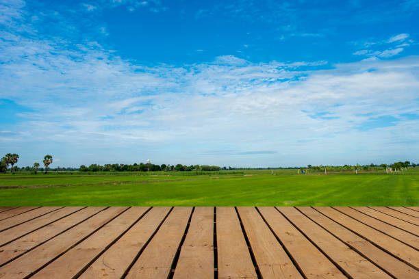 istock blurred background of landscape with beautiful sky. 1225570656
