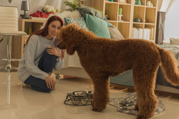 istock Woman obedience training her dog while feeding him 1225574245