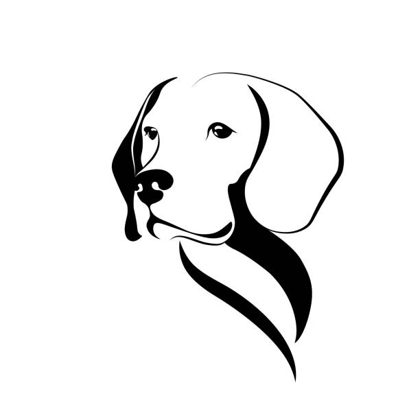 illustrations, cliparts, dessins animés et icônes de verticale de chien - weimaraner dog animal domestic animals