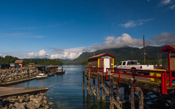 istock tofino, vancouver island, BC, Canada 1225581006