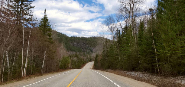 istock On the road in the Canadian forest 1225581106