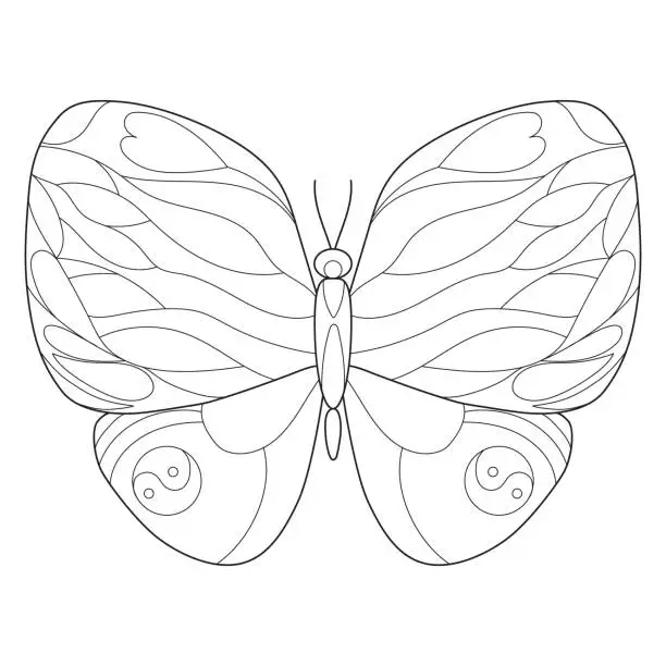 Vector illustration of Line art of butterfly for coloring book