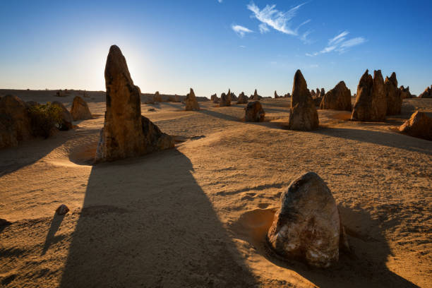istock The Pinnacles Of Western Australia 1225581941