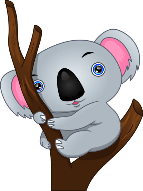 ilustraciones, imágenes clip art, dibujos animados e iconos de stock de lindo koala caricatura - stuffed animal toy koala australia