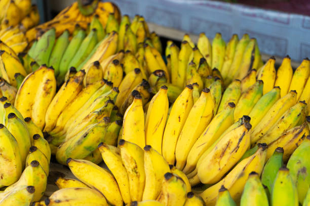 istock A counter with branches of yellow bananas. 1225584355